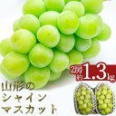 ＼高評価★4.7以上／ 約1.3kg 2房 山形 の シャインマスカット 人気 種なし 高級 ぶどう  先行予約 ふるさと納税 シャインマスカット ふるさと納税 マスカット ふるさと納税 ぶどう ふるさと 令和6年 2024 H065(R6)