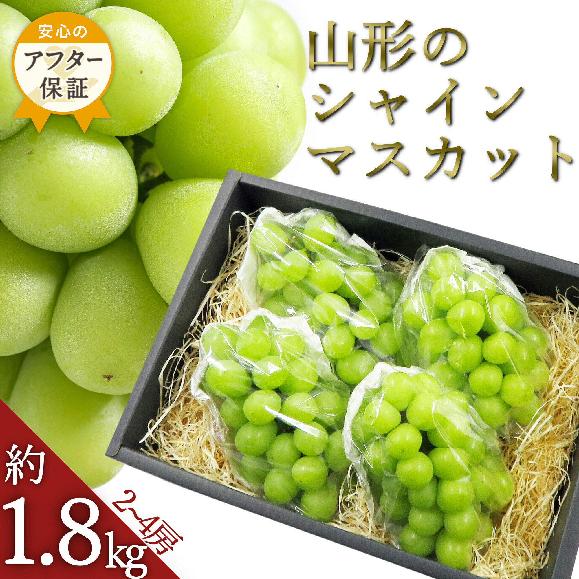 ＼数量限定/ シャインマスカット 約1.8kg 2〜4房 山形 の 人気 フルーツ 種なし 葡萄 [2024年9月〜10月発送分先行受付] 先行予約 ふるさと納税 シャインマスカット ふるさと納税 マスカット ふるさと納税 ぶどう 果物 令和6年 2024年 H132(R6)