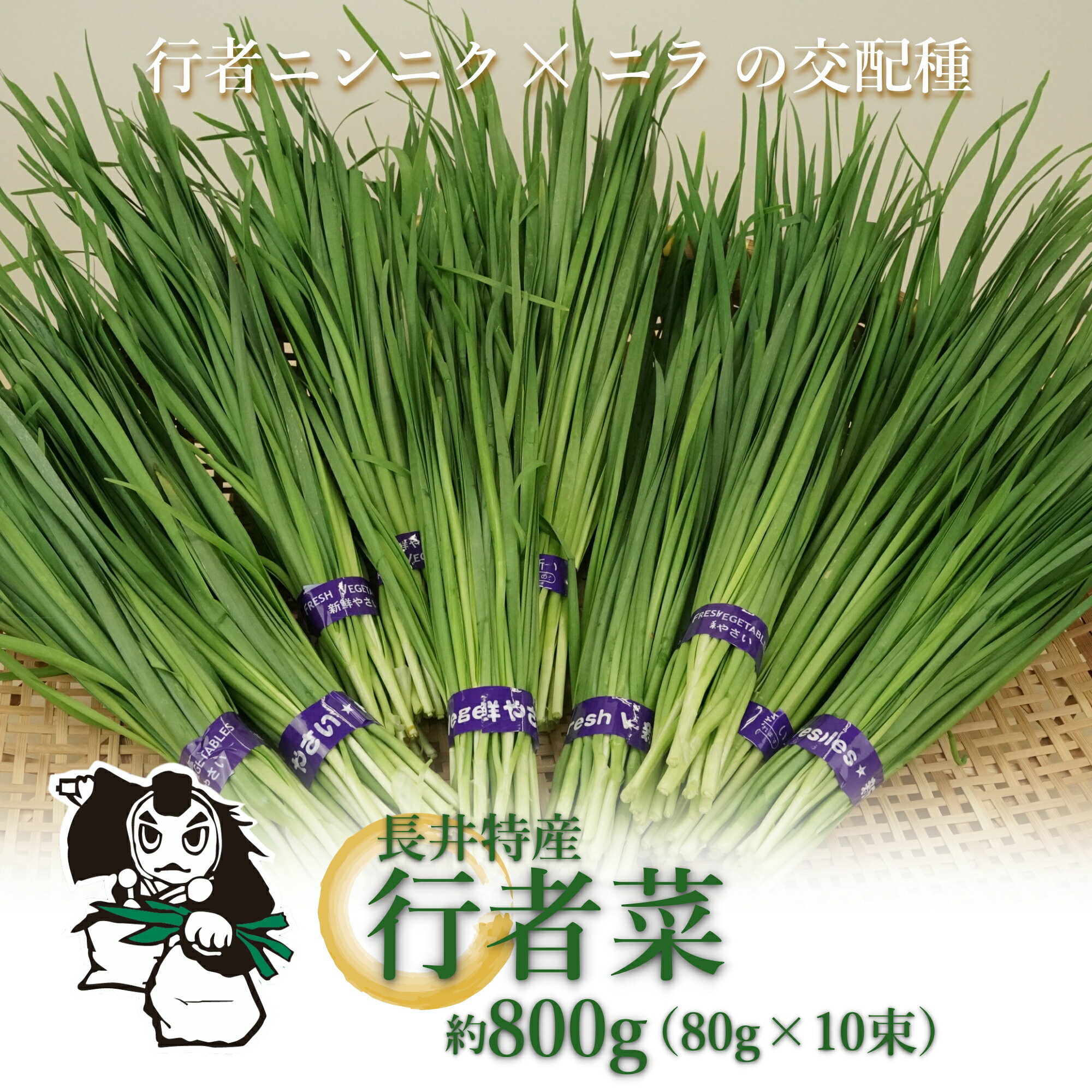 【ふるさと納税】長井特産行者菜約800g（80g×10束）・レシピ本セット_H100(R6) 1