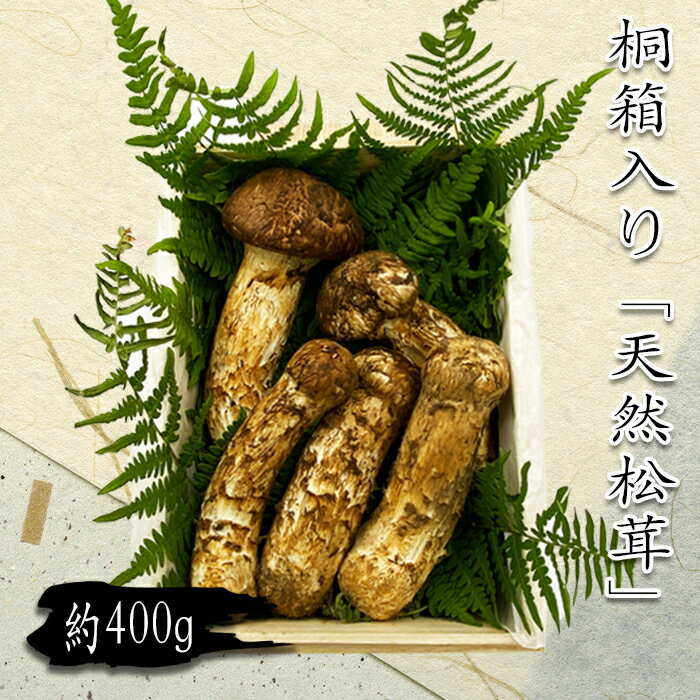 【ふるさと納税】【2024年9月～11月発送】山形県産「天然松茸（まつたけ）」約400g(桐箱入)_H086(R6)