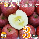 【ふるさと納税】【2025年11月〜12月発送】蜜入りだけ厳選!蜜入サンふじりんご3kg_H126(R7)