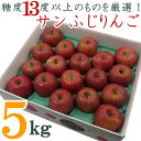 【ふるさと納税】【2025年11月〜12月発送】糖度13度以上厳選!サンふじりんご5kg_H127(R7)