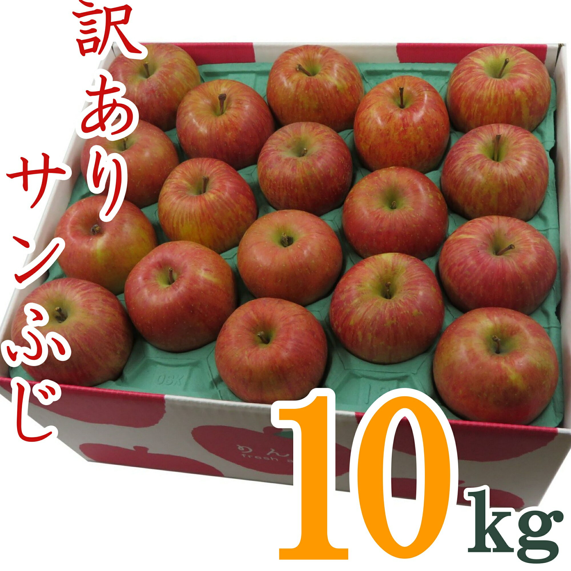 【ふるさと納税】【2024年11月～12月発送】訳ありリンゴ サンふじ 10kg 1箱2段詰 _H128 R6 