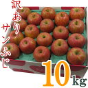 【ふるさと納税】【2025年11月〜12月発送】訳ありリンゴ(サンふじ)10kg(1箱2段詰)_H128(R7)