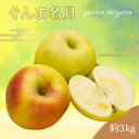 【ふるさと納税】【2025年11月発送分先行受付】山形のりんご(ぐんま名月)約3kg_H209(R7)