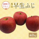 【ふるさと納税】【2025年9月〜10月発送分先行受付】「秀品」山形のりんご(早生ふじ)約2kg_H212(R7)