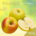 【ふるさと納税】【2025年11月発送分先行受付】山形のりんご(ぐんま名月)約2kg_H217(R7)