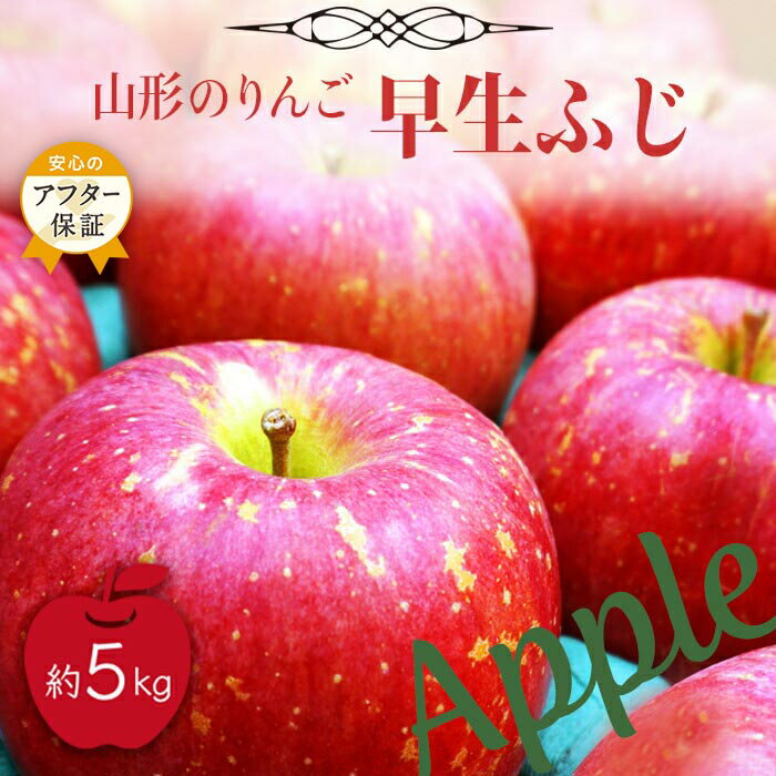 4位! 口コミ数「6件」評価「4.33」＼アフター保証対象品／【2024年9月～10月発送】山形のりんご（早生ふじ）約5kg_H075(R6)