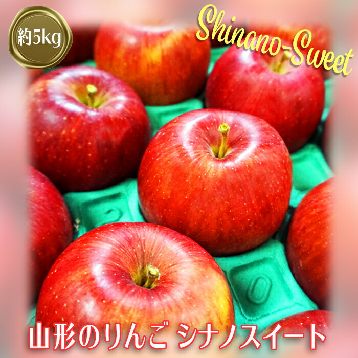 ＼アフター保証対象品/[2025年10月〜11月発送]山形のりんご(シナノスイート)約5kg_H076(R7)