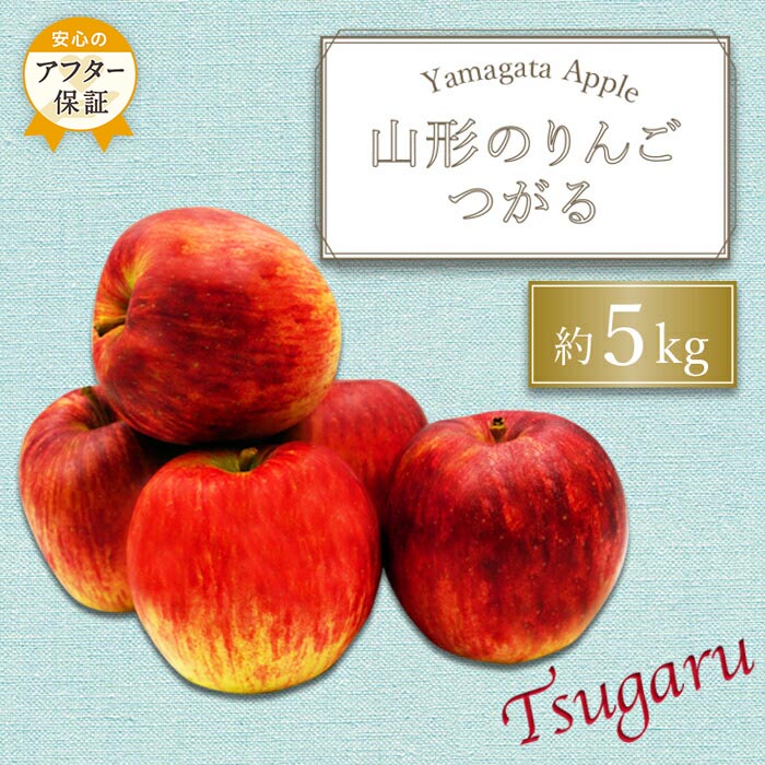 1位! 口コミ数「1件」評価「4」＼アフター保証対象品／【2024年9月～10月発送】山形のりんご（つがる）約5kg_H074(R6)