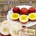 【ふるさと納税】\アフター保証対象品/【2025年10月〜11月発送】山形のりんご(高徳)約5kg_H119(R7)