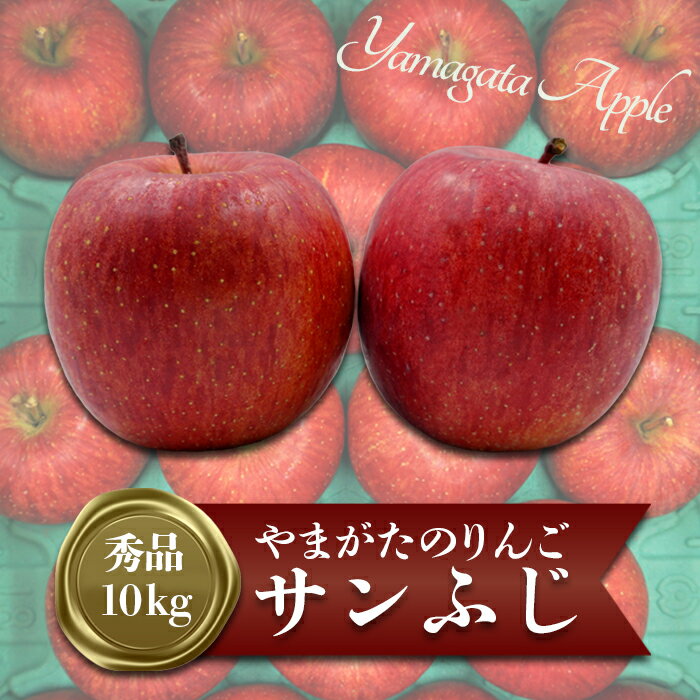 【ふるさと納税】【2024年11月～12月発送分先行受付】「秀品」山形のりんご（サンふじ）約10kg_H170(R6)