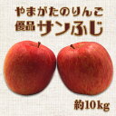 【ふるさと納税】【2025年11月〜12月発送分先行受付】「優品」山形のりんご(サンふじ)約10kg_H171(R7)