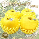 【ふるさと納税】【2025年11月発送分先行受付】「秀品」山形のりんご(シナノゴールド)約3kg_H169(R7)