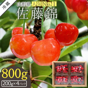 【ふるさと納税】 佐藤錦 800g 10000円 「秀品」 山形 の さくらんぼ (小玉Mサイズ・200g×4パック詰) 【2024年6月発送分先行受付】 先行予約 ふるさと納税 さくらんぼ 佐藤錦 フルーツ 果物 ふるさと 人気 ランキング 令和6年 2024年 H194(R6)