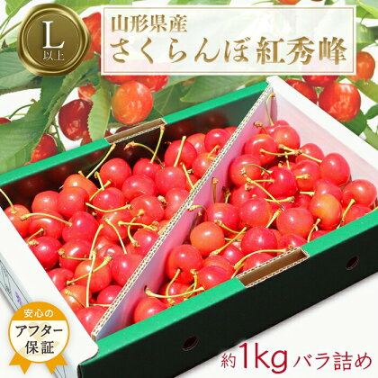 紅秀峰 1kg 「秀品」 山形 の さくらんぼ (L玉以上・化粧箱・バラ詰)【2024年6月～7月発送分先行受付】 先行予約 ふるさと納税 さくらんぼ ふるさと納税 さくらんぼ 紅秀峰 フルーツ 果物 ふるさと 人気 ランキング 令和6年 2024 H043(R6)