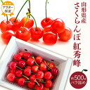 【ふるさと納税】 紅秀峰 500g 「秀品」 山形 の さくらんぼ (L玉以上・化粧箱・バラ詰) 【 ...