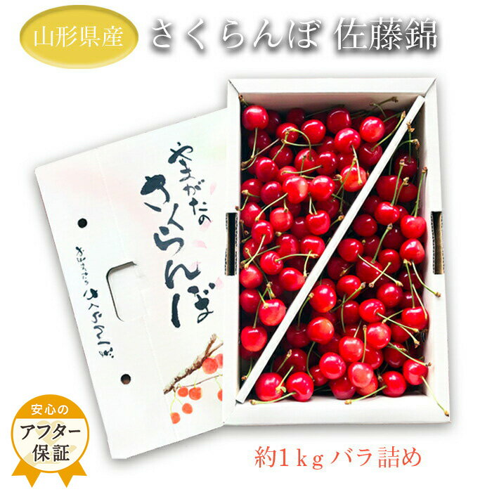 【ふるさと納税】\アフター保証対象品/ 山形 の さくらんぼ 佐藤錦 「秀品」 1kg (L玉・化粧箱・バラ詰め) 【2026年 発送 先行受付】 令和8年 2...