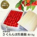 【ふるさと納税】 大粒 贈答用 佐藤錦 1kg 「秀品」 山形 の さくらんぼ (2L玉・桐箱・贈答用手詰)【2024年6月発送分先行受付】 先行予約 ふるさと納税 さくらんぼ ふるさと納税 さくらんぼ 佐藤錦 フルーツ 果物 ふるさと 人気 ランキング 令和6年 2024 H037(R6)