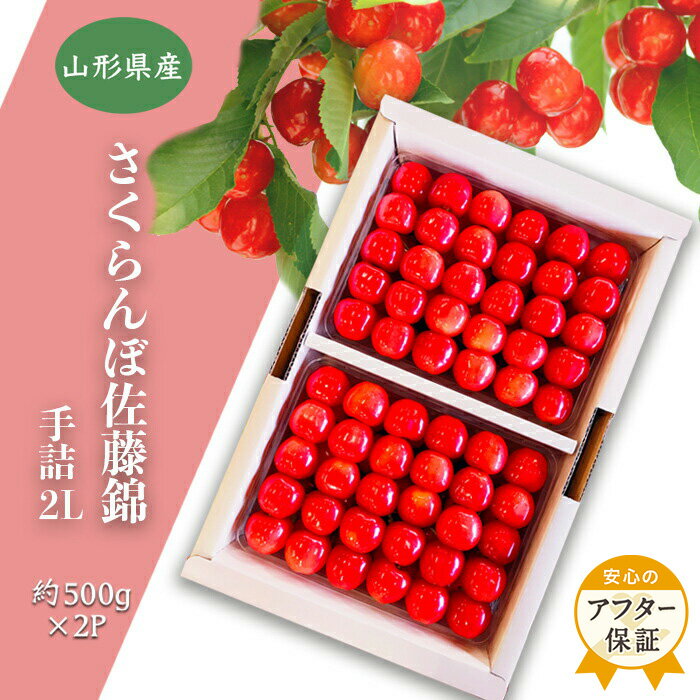 【ふるさと納税】【2026年発送】「秀品」さくらんぼ佐藤錦1kg(2L玉以上・化粧箱・贈答用手詰)_H038(R8)