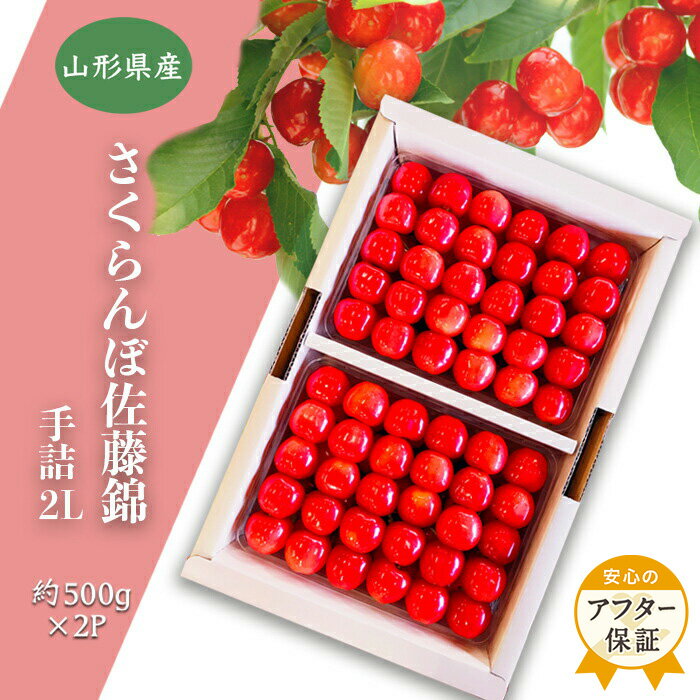 楽天山形県長井市【ふるさと納税】【2024年6月発送分先行受付】「秀品」さくらんぼ佐藤錦1kg（2L玉以上・化粧箱・贈答用手詰）_H038（R6）