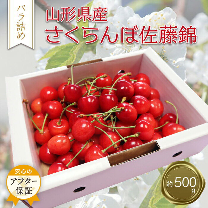 【ふるさと納税】 佐藤錦 500g 「秀品」 山形 の さくらんぼ (L玉・化粧箱・バラ詰)【2026年 発送 先行受付】 先行予約 ふるさと納税 さくらんぼ ...