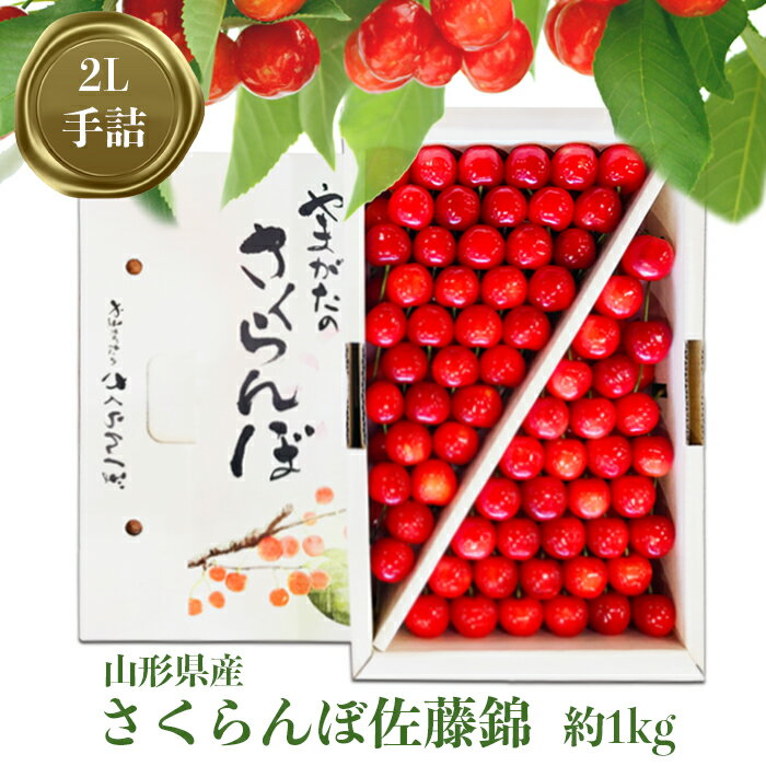 【ふるさと納税】＼高評価★4.7以上／ 大粒 贈答用 佐藤錦 1kg 「秀品」 山形 の さくらんぼ (2L玉・化粧箱入り・手詰め)【2024年6月発送分先行受付】 先行予約 ふるさと納税 さくらんぼ ふるさと納税 さくらんぼ 佐藤錦 ふるさと 人気 令和6年 2024 H040(R6)