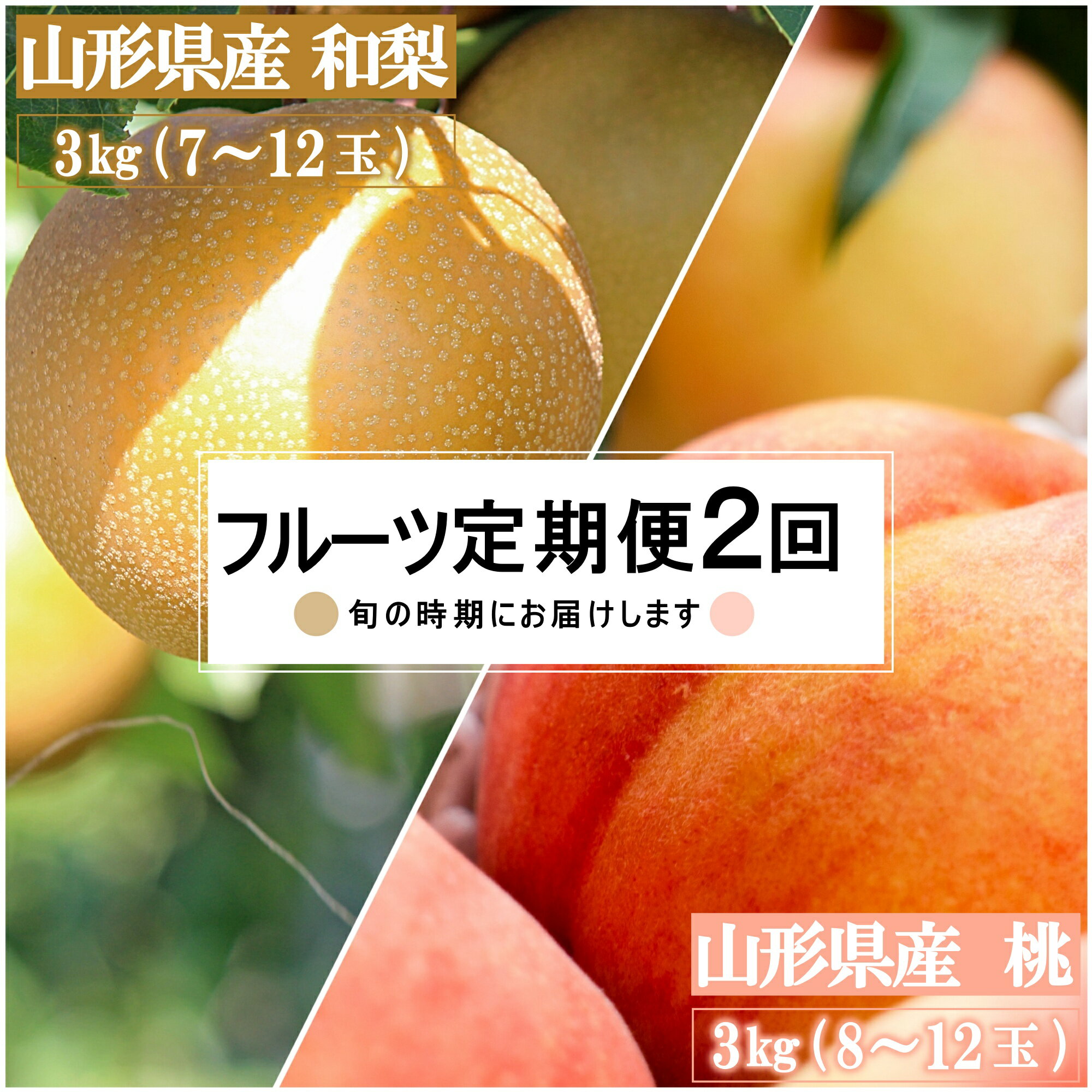 [2025年8月〜9月発送][定期便2回]山形旬の果物2選(桃/和梨)_H234(R7)