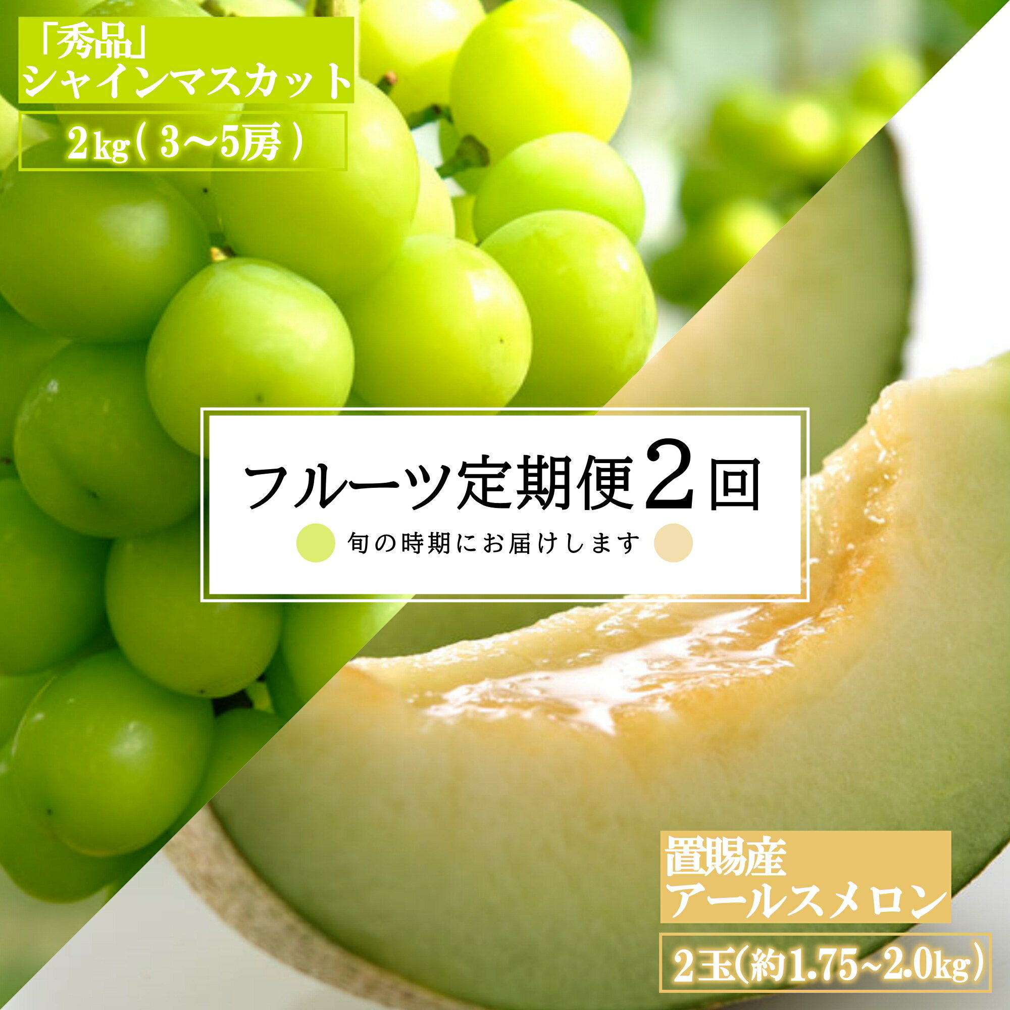 【ふるさと納税】【2024年8月～10月発送分先行受付】【定期便2回】山形旬の果物2選（メロン/シャインマスカット）_H182(R6)