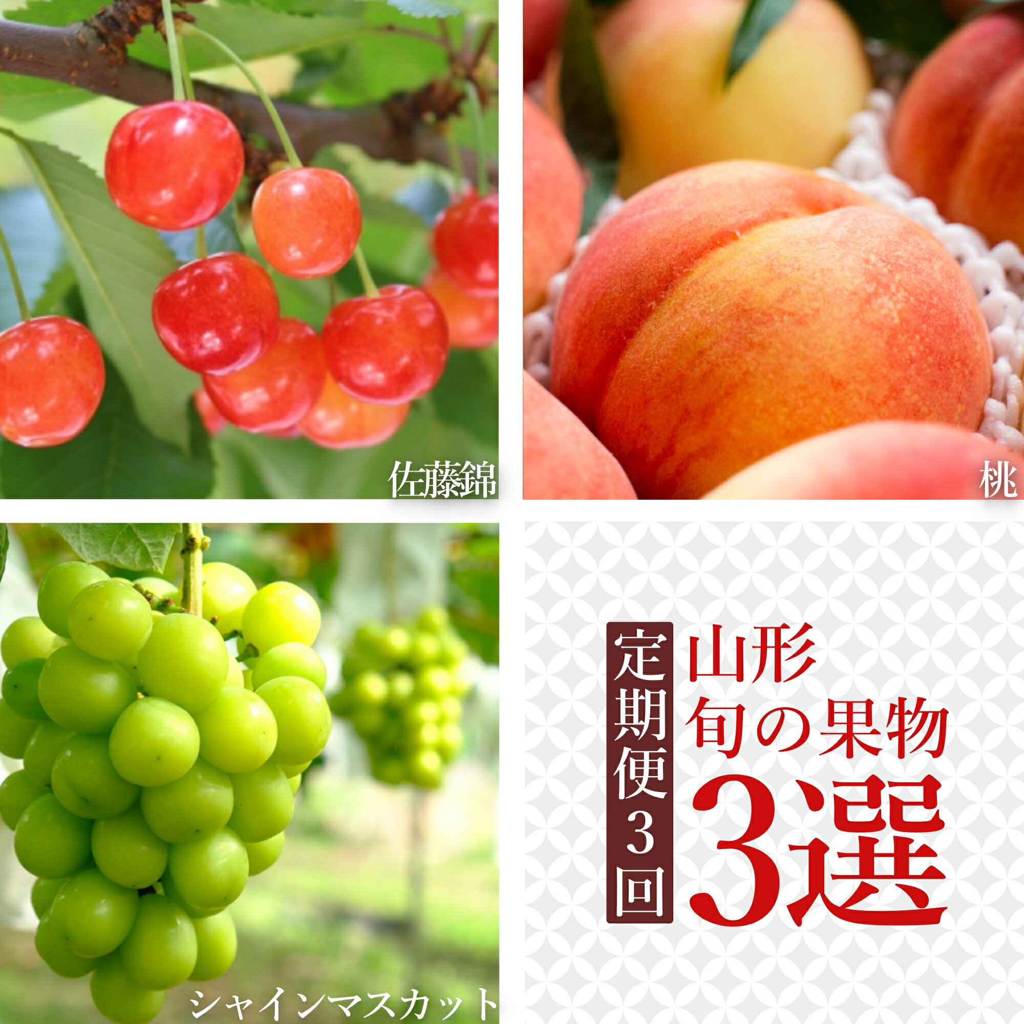 【ふるさと納税】【2025年6月～10月発送】【定期便3回】山形旬の果物3選（佐藤錦/桃/シャインマスカット）_H235(R7)