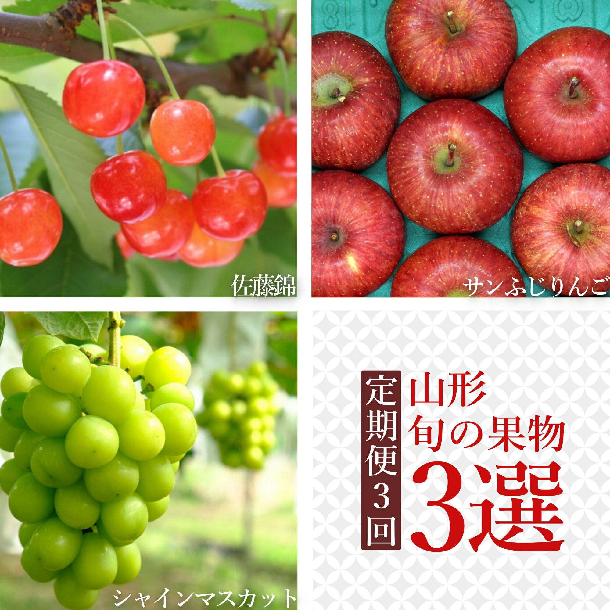 【ふるさと納税】【2025年6月～12月発送】【定期便3回】山形旬の果物3選（佐藤錦/シャインマスカット/りんご）_H237(R7)