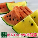 【ふるさと納税】【2025年7月~8月発送分先行受付】伊佐沢フルーツ倶楽部の小玉すいか2玉(赤&黄)_H097(R7)