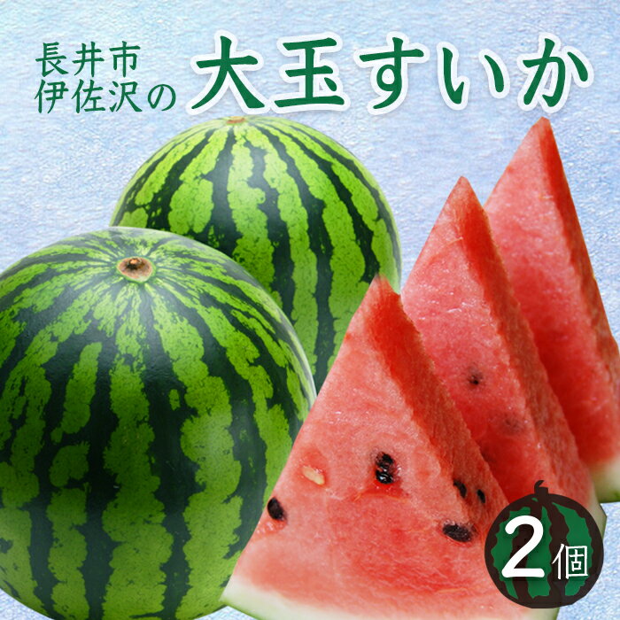 55位! 口コミ数「1件」評価「5」【2024年7月～8月発送分先行受付】長井市伊佐沢の大玉すいか約8～11kg×2玉_H054(R6)