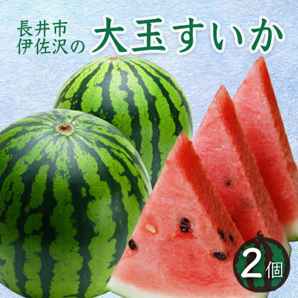 【2024年7月～8月発送分先行受付】長井市伊佐沢の大玉すいか約8～11kg×2玉_H054(R6)