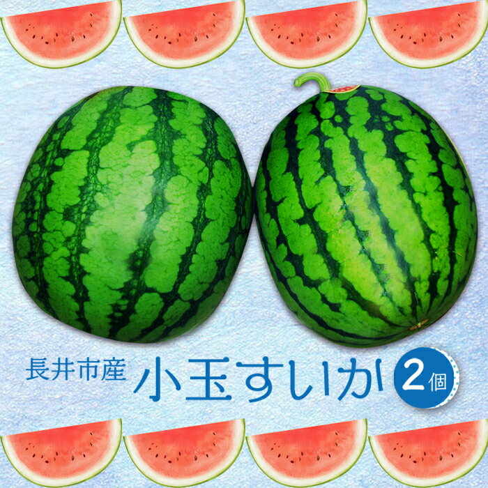 [2024年7月〜8月発送分先行受付]小玉すいか(長井市産)約1.5〜3kg×2玉_H053(R6)