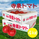 4位! 口コミ数「10件」評価「4.9」【2024年5月～10月発送分先行受付】長井が誇る桃太郎系ブランドトマト「寺泉トマト」約4kg(2kg×2箱)_H101(R6)