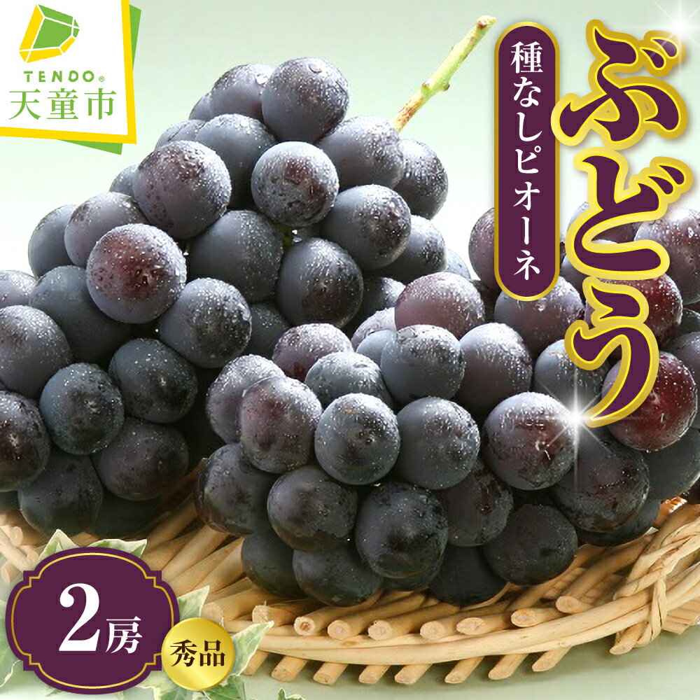 ぶどう ( 種なし ピオーネ ) 1kg 秀 2房 令和8年産 先行予約 2026年 葡萄 人気 おすすめ フルーツ 果物 くだもの 山形 お取り寄せ 産地直送 送料無料 [ 山形県 天童市 ]