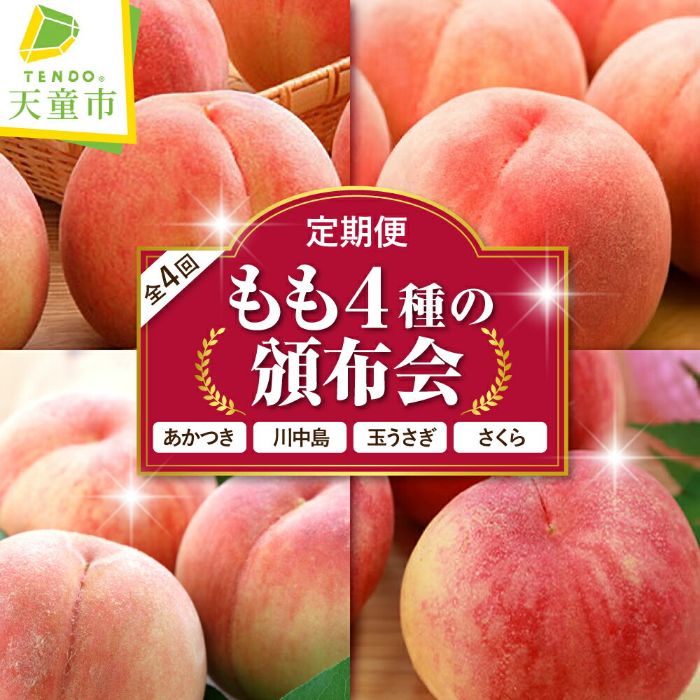 もも 4種 の 頒布会 ( 定期便 ) 全4回 秀品 あかつき 川中島 玉うさぎ さくら 令和8年産 先行予約 2026年 桃 白桃 人気 おすすめ フルーツ 果物 くだもの 山形 お取り寄せ 食べ比べ 産地直送 送料無料 [ 山形県 天童市 ]