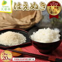 【ふるさと納税】 レビュー高評価 はえぬき 選べる内容量 5kg / 10kg / 15kg / 20kg 配送時期が選べる 5kg×1袋 2袋 3袋 4袋 | 令和7年産 先行予約 米 新米 精米 ブランド米 ごはん 白米 おにぎり 弁当 5キロ 10キロ 15キロ 20キロ 発送時期が選べる 【 山形県 天童市 】