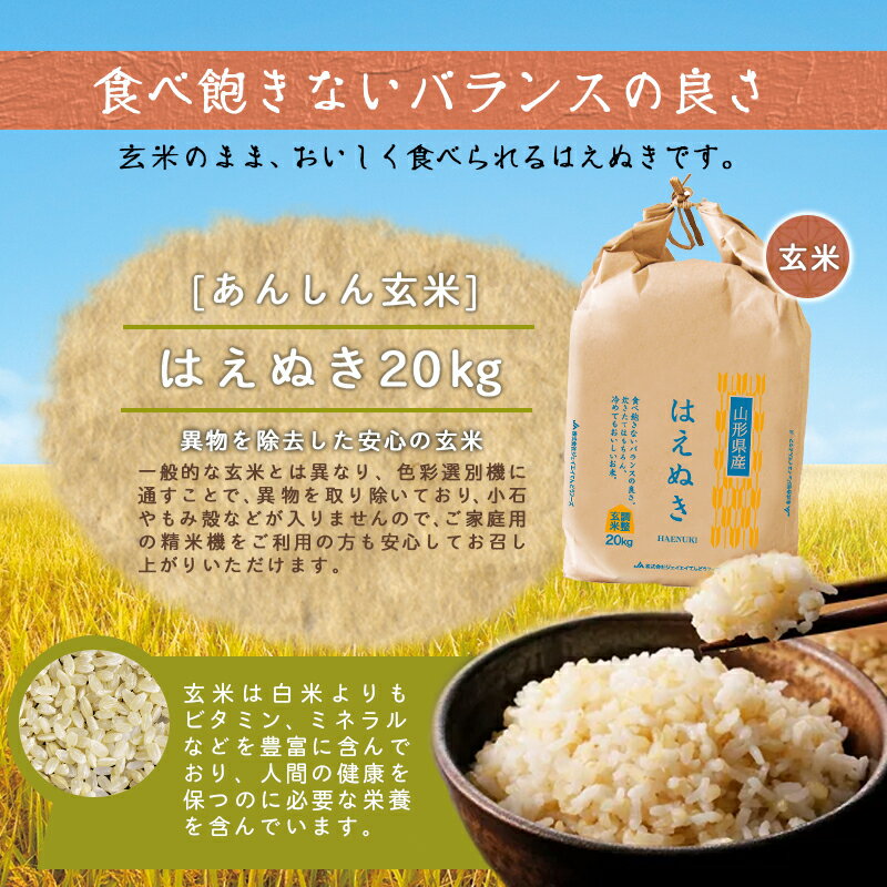 【ふるさと納税】 あんしん玄米 20kg 選べる 1品種 つや姫 はえぬき 雪若丸 20kg / 20kg×1袋 令和7年産 新米 米 コメ こめ おこめ 玄米 ブランド米 玄米生活 健康志向 ごはん おにぎり 20キロ 袋 お取り寄せ 送料無料 大容量 産地直送 【 山形県 天童市 】