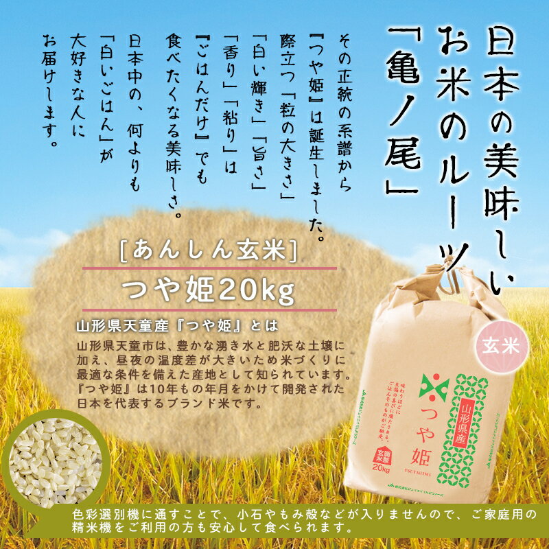 【ふるさと納税】 あんしん玄米 20kg 選べる 1品種 つや姫 はえぬき 雪若丸 20kg / 20kg×1袋 令和7年産 新米 米 コメ こめ おこめ 玄米 ブランド米 玄米生活 健康志向 ごはん おにぎり 20キロ 袋 お取り寄せ 送料無料 大容量 産地直送 【 山形県 天童市 】