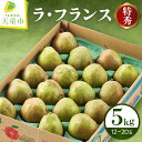 【ふるさと納税】 ラ・フランス 5kg ラフランス 洋梨 果物 フルーツ 特秀 12玉 〜 20玉 ご家庭用 のし 贈答 ギフト プレゼント おすそ分け お取り...