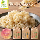 【ふるさと納税】 あんしん玄米 20kg 選べる 1品種 つや姫 はえぬき 雪若丸 20kg / 20kg×1袋 令和7年産 新米 米 コメ こめ おこめ 玄米...