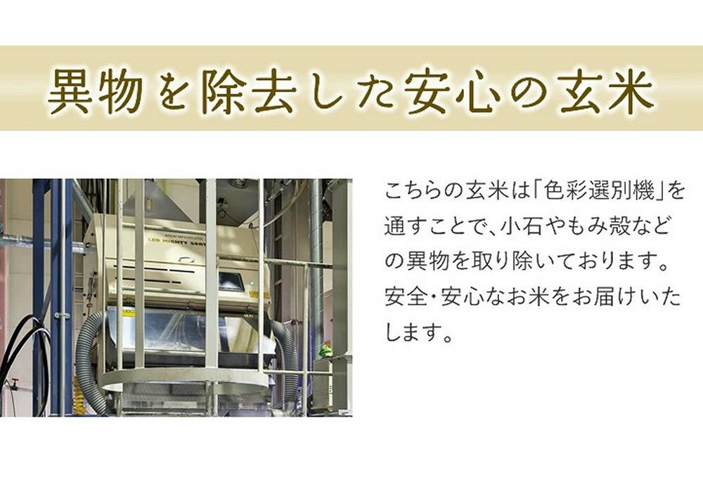 【ふるさと納税】 やわらかく炊ける 玄米 つや姫 10kg 5kg×2袋 令和7年産 新米 米 コメ こめ おこめ ブランド米 玄米生活 健康志向 ごはん おにぎり 弁当 5kg 袋 小分け お取り寄せ 送料無料 産地直送 【 山形県 天童市 】