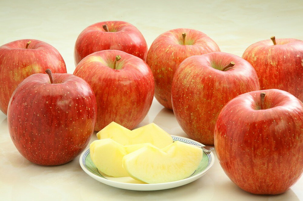 【ふるさと納税】 りんご ( サンふじ ) 選べる 3kg / 5kg / 10kg ふじ りんご 果物 フルーツ 秀 のし 贈答 ギフト プレゼント おすそ分け お取り寄せ 旬 秋 冬 期間限定 産地直送 送料無料 先行予約 【 山形県 天童市 】