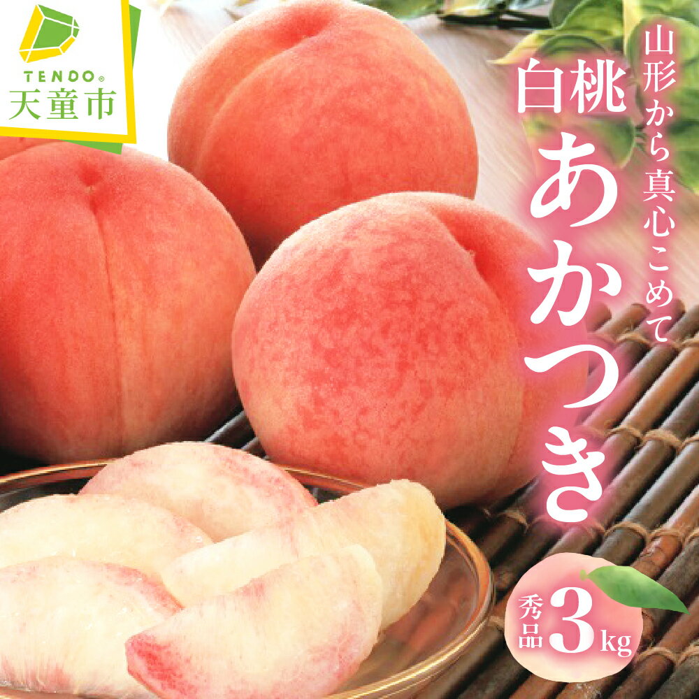 【ふるさと納税】 もも ( あかつき ) 3kg 山形県産 桃 白桃 果物 フルーツ 秀品 6〜14玉 のし 贈答 ギフト おすそ分け 旬 夏 期間限定 冷蔵便 送料無料 先行予約 【 山形県 天童市 】のサムネイル