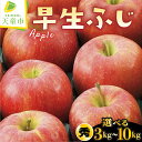 【ふるさと納税】 りんご ( 早生ふじ ) 選べる 3kg / 5kg / 10kg ふじ リンゴ わせふじ 果物 フルーツ 秀 のし 贈答 ギフト プレゼント おすそ分け お取り寄せ 秋 旬 期間限定 送料無料 先行予約 【 山形県 天童市 】