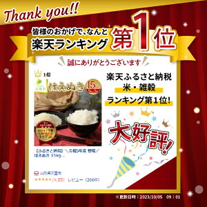 【ふるさと納税】＼ 受付再開 ／ はえぬき 15kg / 5kg×3袋【発送時期が選べる】令和5年産 米 コメ こめ お米 精米 ブランド米 ごはん 白米 ご飯 おにぎり 弁当 5kg ずつ 小分け 天童 山形 おすそ分け お取り寄せ 食品 送料無料 ランキング 予約【 山形県 天童市 】