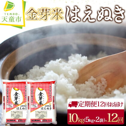 金芽米 はえぬき 定期便 10kg / 5kg×2袋 12回 お届け令和5年産 米 コメ こめ お米 無洗米 BG無洗米 ブランド米 カロリーオフ ごはん 白米 ご飯 おにぎり 弁当 おすそ分け 5kg ずつ 小分け むせんまい 食品 送料無料 【 山形県 天童市 】