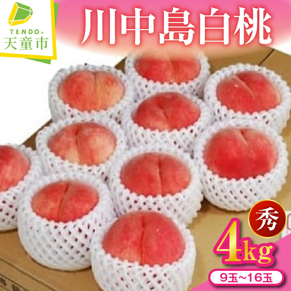 【ふるさと納税】 もも ( 川中島白桃 ) 約 4kg 秀 9玉～16玉 令和8年産 先行予約 2026年 桃 白桃 果物 フルーツ のし 贈答 ギフト プレゼント おすそ分け お取り寄せ 旬 期間限定 送料無料 【 山形県 天童市 】